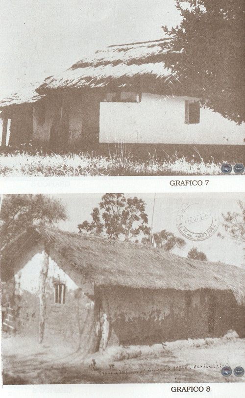 EL VALLE Y LA LOMA & CULTURAS DE LA SELVA, 1995 - POR RAMIRO DOMÍNGUEZ
